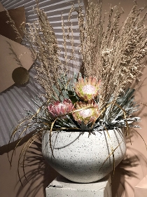 Accent Decor
