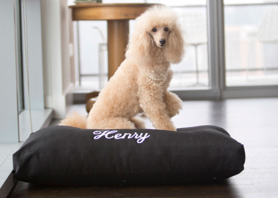 Pillow Bar Salon West