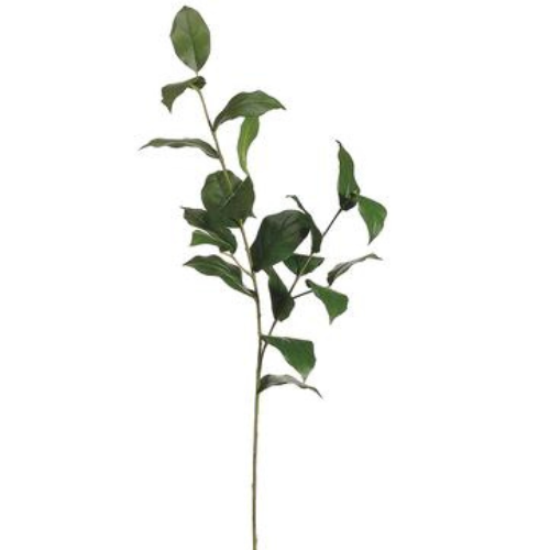 Allstate Floral